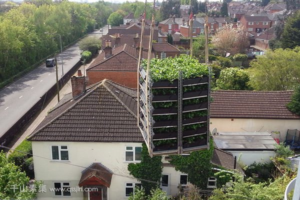 城市门户屋顶垂直绿化