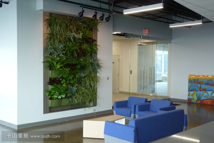 室内绿化墙植物墙，设计和经典图片案例分享