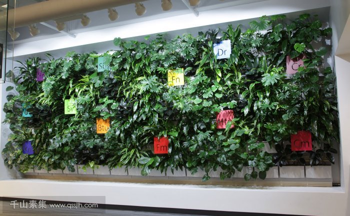 室内绿化墙植物墙