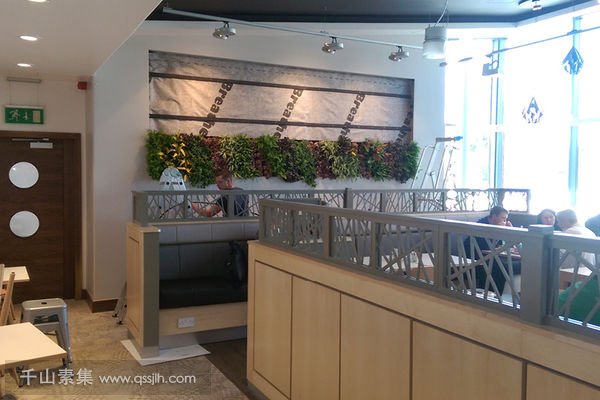 用餐区垂直绿化植物墙
