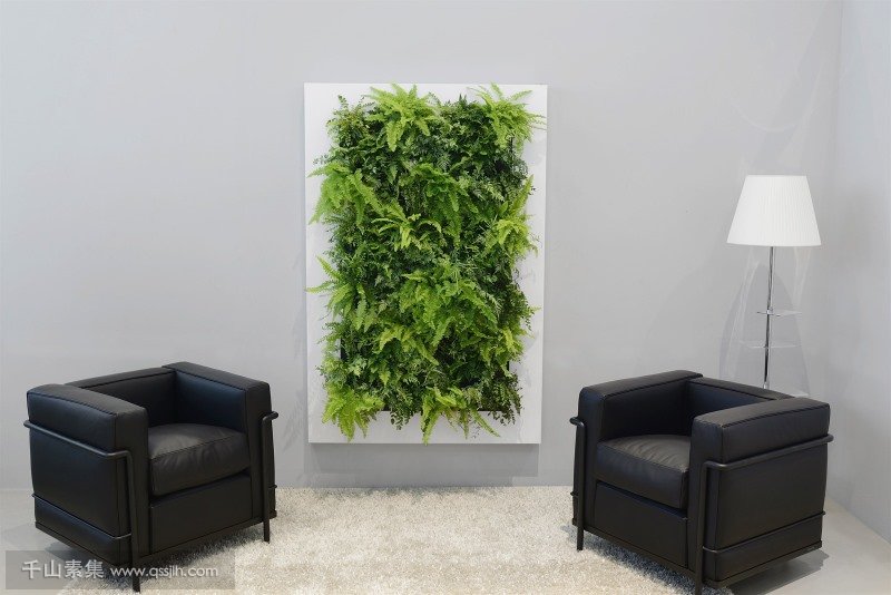 室内植物墙制作需要遵循的原则有哪些