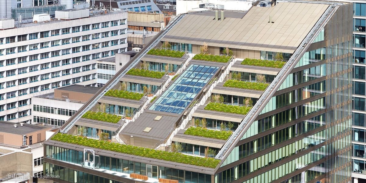 房地产公司楼顶绿化，创造生物多样化屋顶