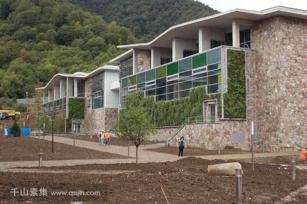 学楼外墙垂直绿化