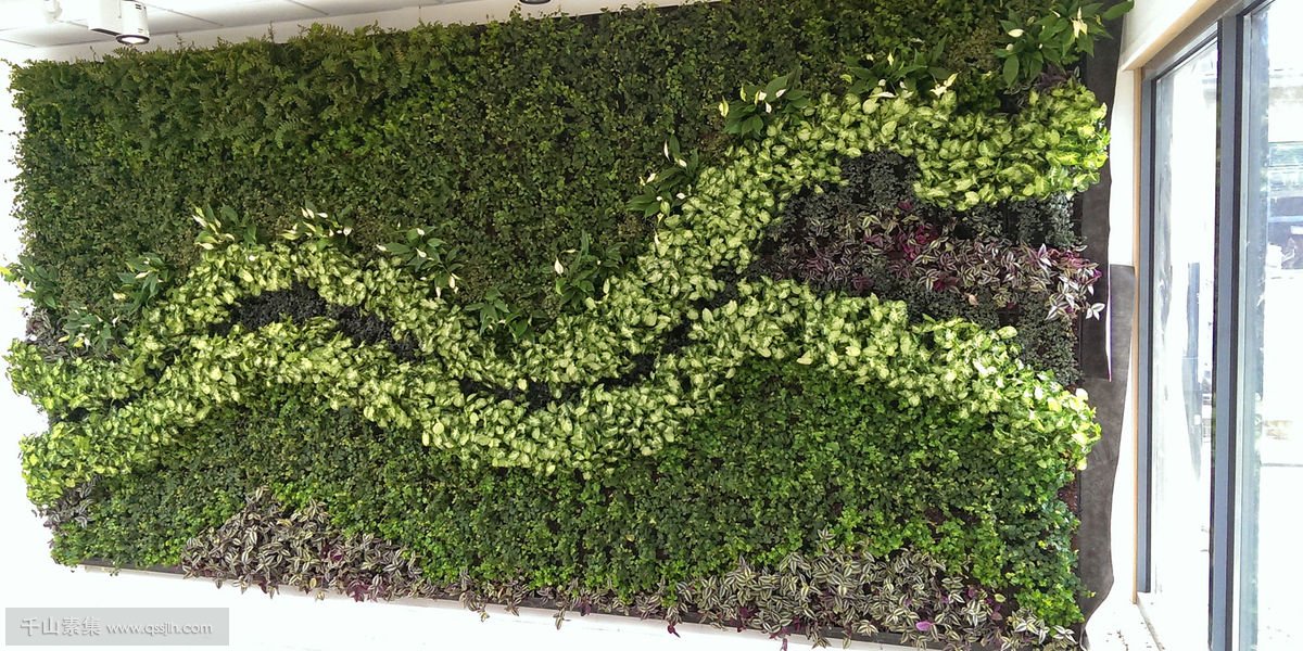 大学室内植物墙