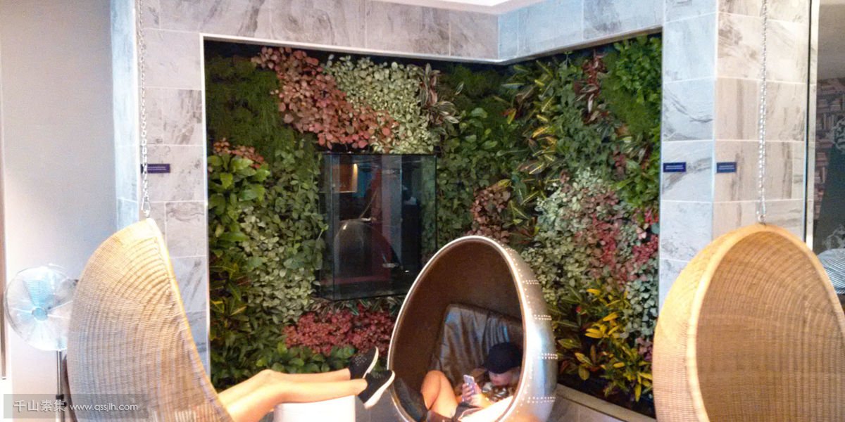 机场休息区垂直绿化，植物墙给您更舒适的休闲空间