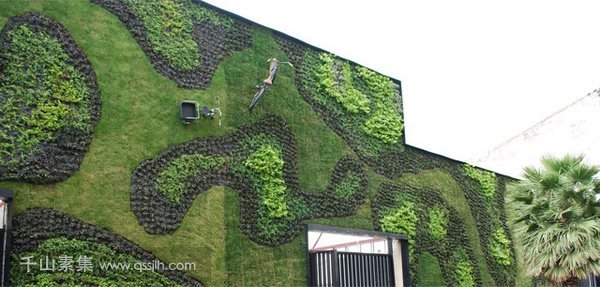 植物墙的表现形式和设计方案