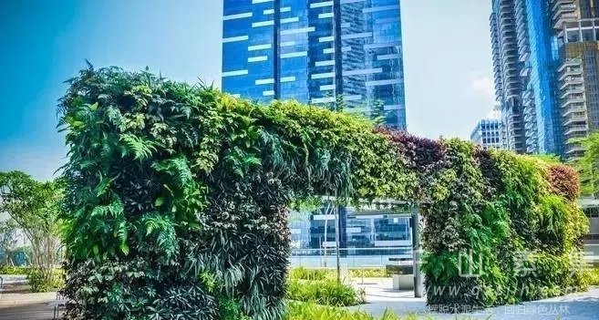 新加坡的垂直绿化-花园中的国家