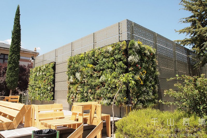 建筑植物墙,学校植物墙,植物墙设计