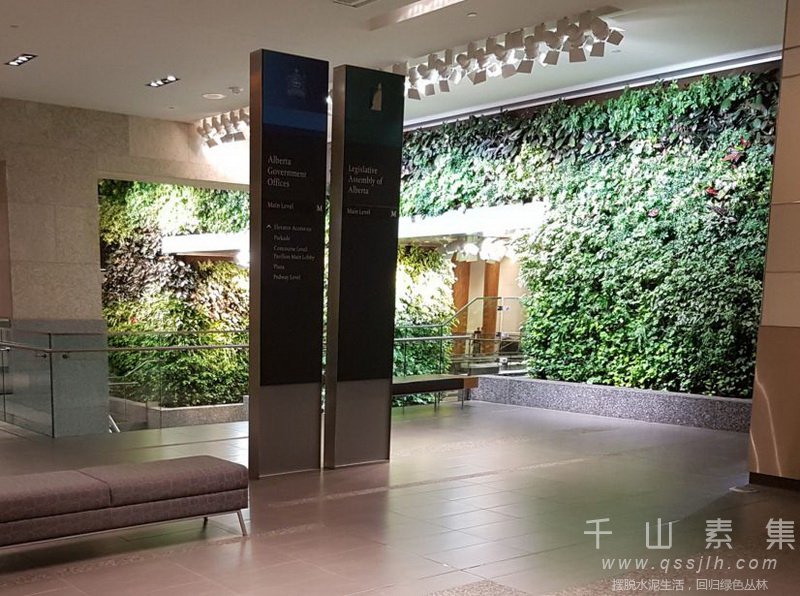 政府楼植物墙,植物墙设计,室内植物墙,植物墙景观