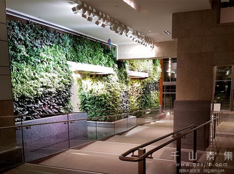 政府楼植物墙,植物墙设计,室内植物墙,植物墙景观