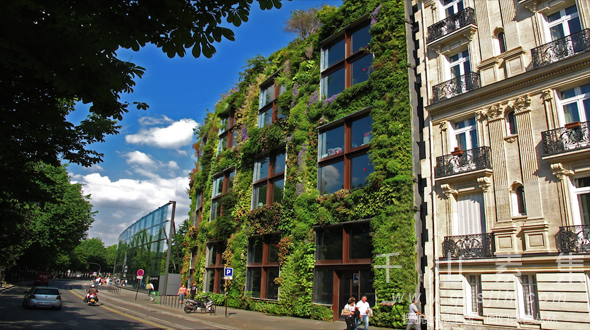 打造可持续发展建筑 让城市变森林
