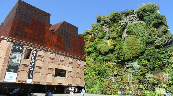 可持续发展建筑,城市垂直绿化