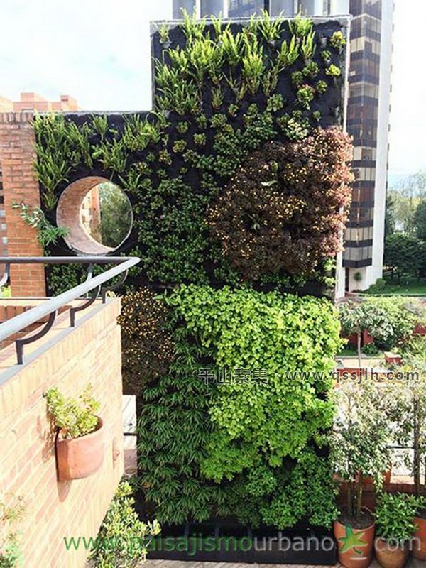 公寓垂直绿化,垂直绿化景观