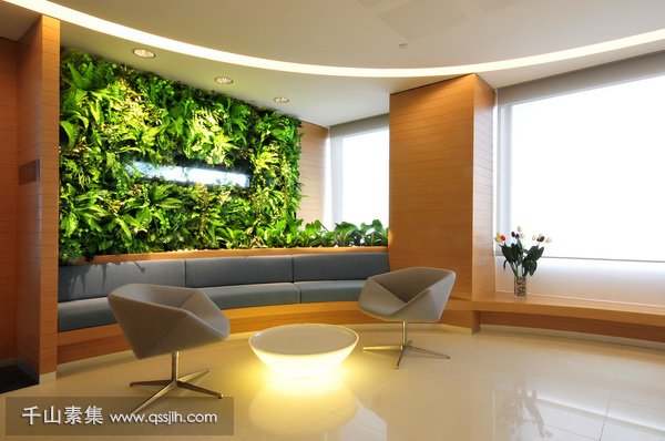室内植物墙,植物墙设计,植物墙景观