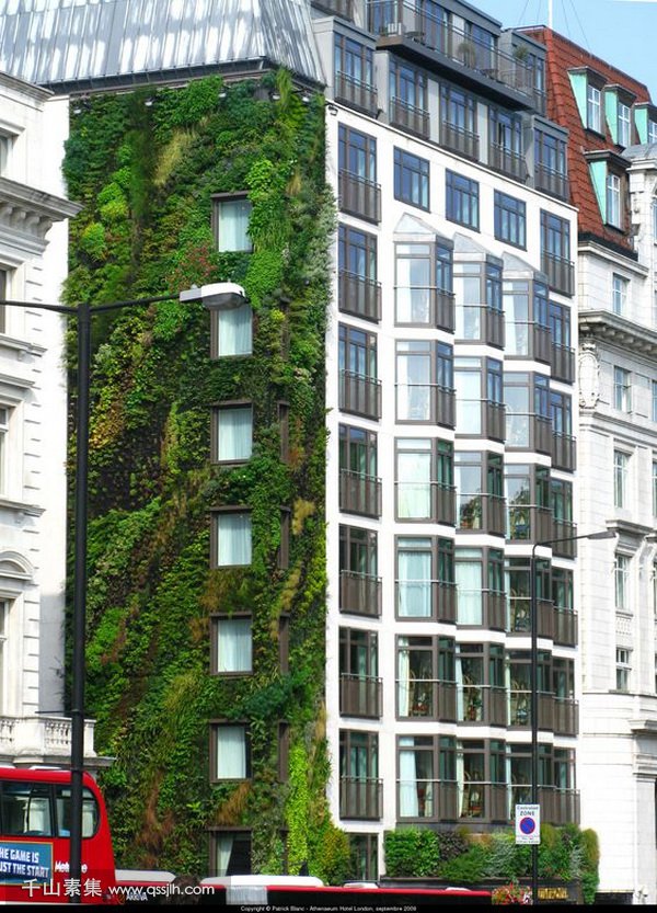 城市垂直绿化,垂直绿化景观