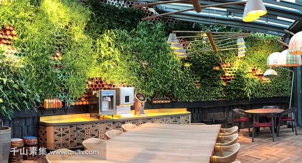 餐厅植物墙,植物墙设计,植物墙景观