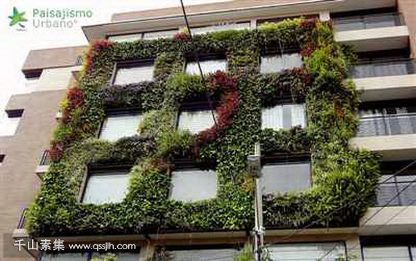 建筑植物墙,植物墙设计,植物墙景观