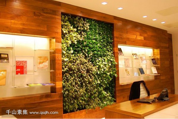 银行植物墙,植物墙设计,植物墙景观