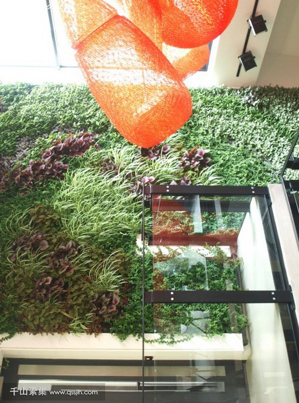 公司植物墙,植物墙设计,植物墙景观