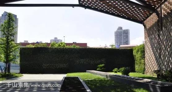 屋顶绿化,屋顶花园