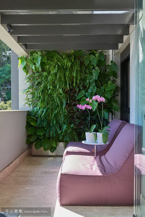 家庭植物墙,室内植物墙,植物墙设计