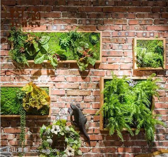 室内植物墙,植物墙相框