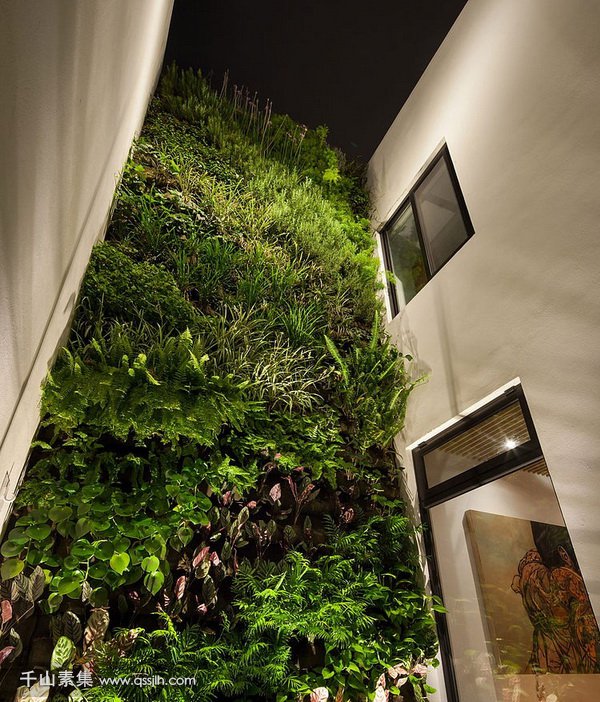 住宅植物墙,植物墙设计,植物墙景观
