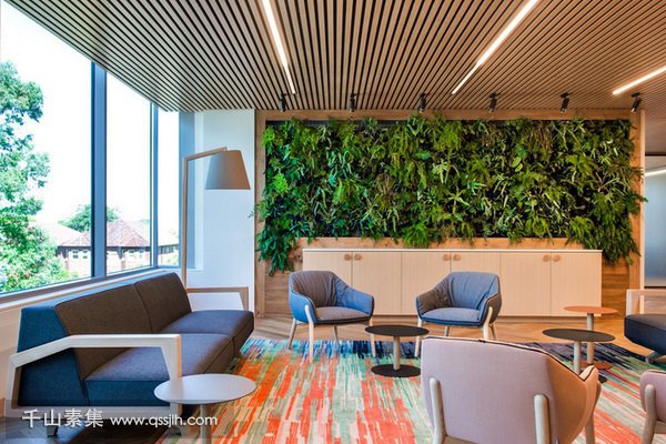 办公室植物墙,植物墙设计,植物墙景观