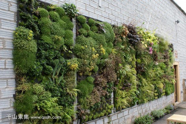 垂直花园,垂直绿化墙
