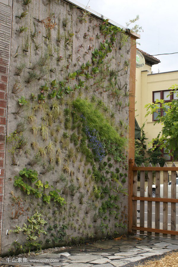 垂直花园,垂直绿化墙