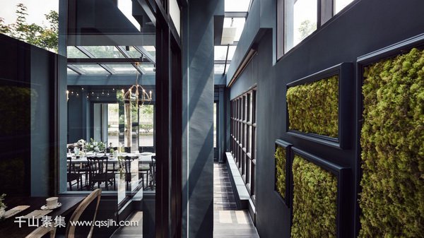 咖啡厅植物墙,植物墙设计,植物墙景观