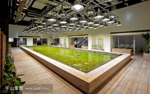 室内植物墙,垂直绿化技术