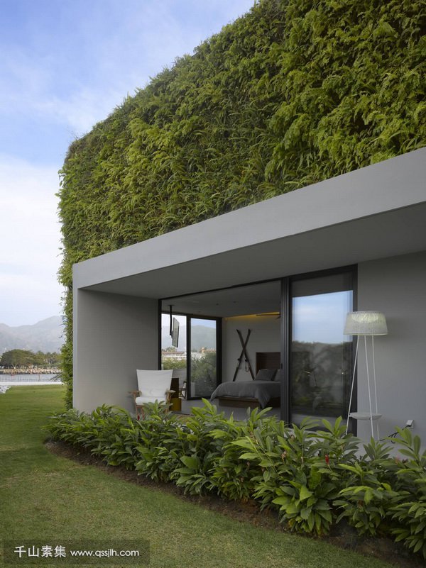 别墅植物墙,植物墙景观,植物墙设计