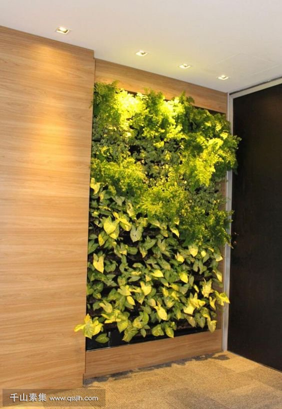 原木元素搭配植物墙，打造柔美空间