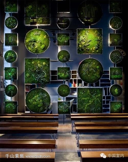 植物墙.jpg