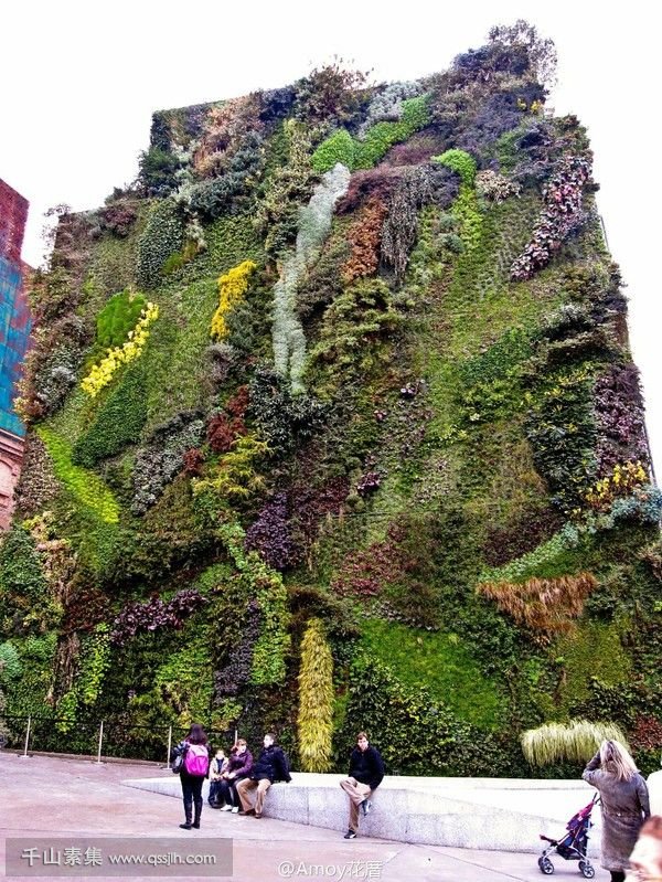 喜欢自然风格的你，千万不要错过这六款植物生态墙！