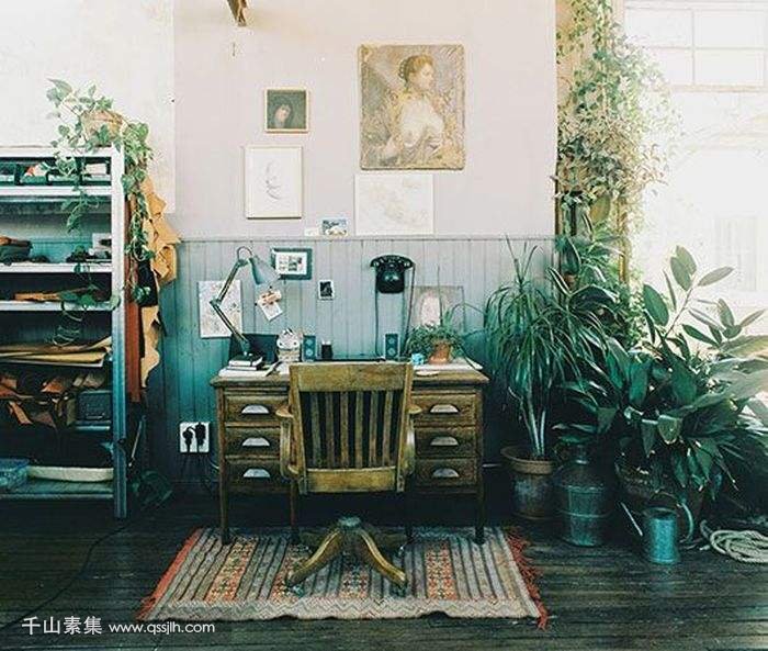 如何将你的室内工作台设计的更好看，这些绿植可以帮助你！