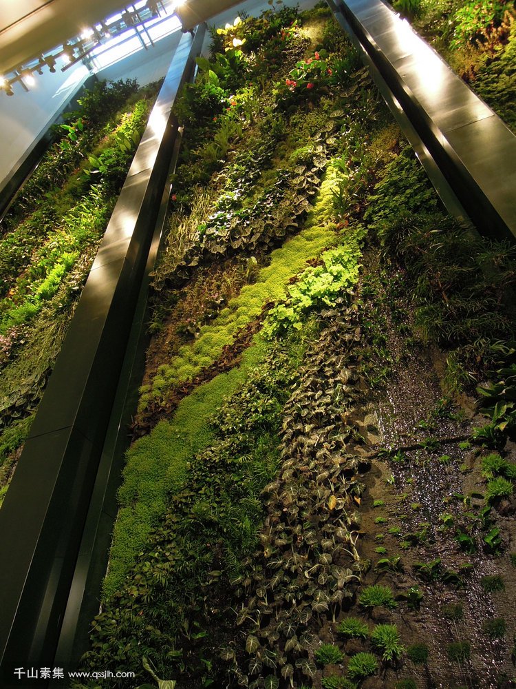 CBD绿化案例_杜斯曼植物墙