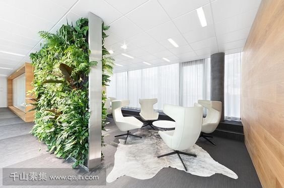 室内绿化技术，推进室内植物墙发展！