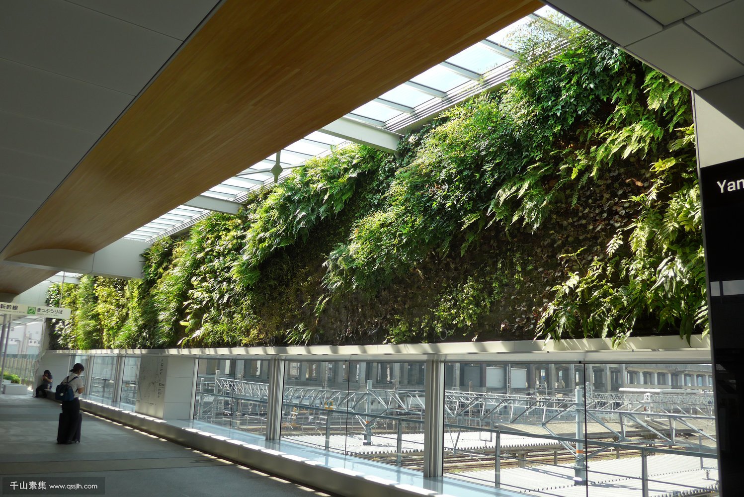 【室内植物墙绿化案例】地铁新干线·山口市站