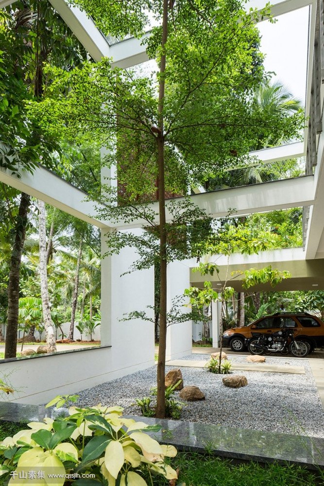 【室内绿化植物墙案例】印度·私人住宅