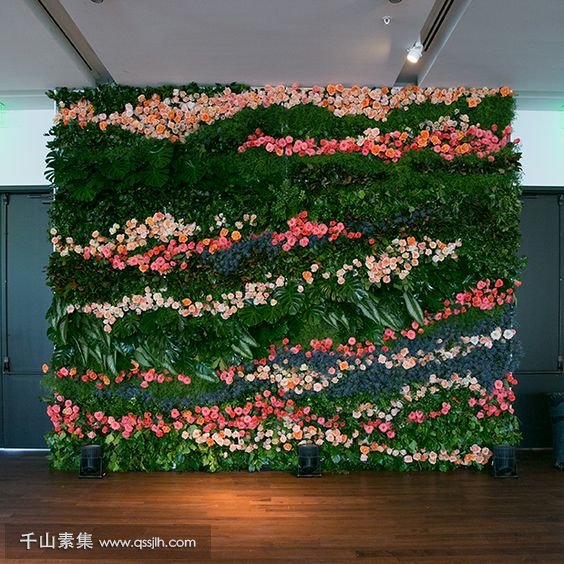 观花植物墙.jpg