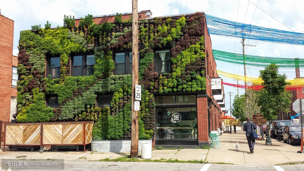 什么是建筑绿化？它与植物墙是什么关系？