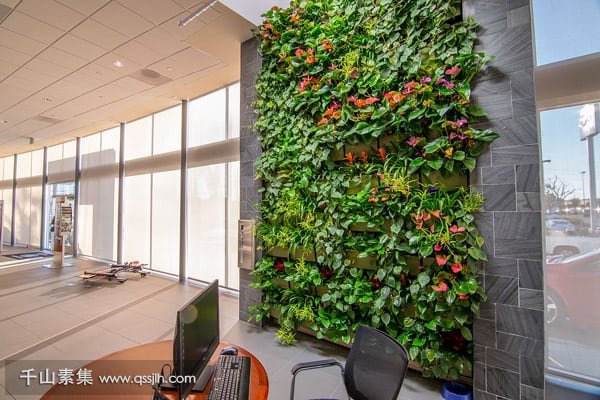 【绿化案例】植物墙如何为汽车展厅提供品牌附加值？