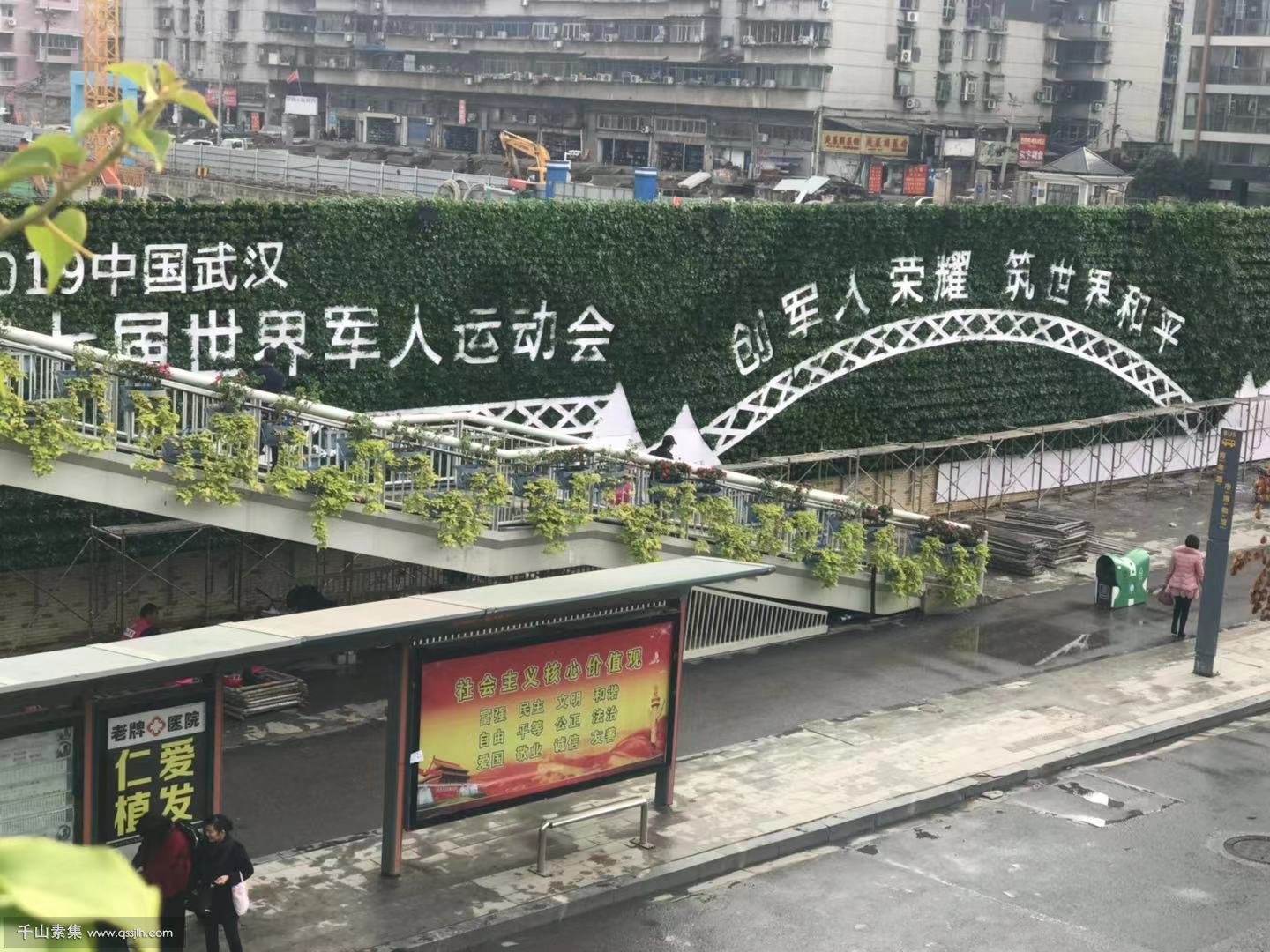 武汉工地围挡升级：推行植物墙围挡，迎“绿色军运”