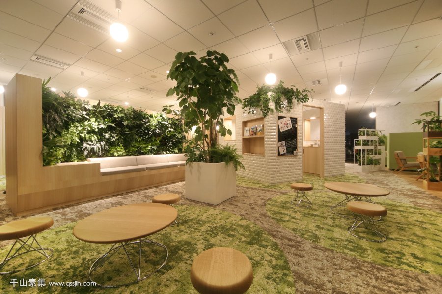 名古屋市%E3%80%80オフィス%E3%80%80壁面緑化%E3%80%80タンク式.jpg