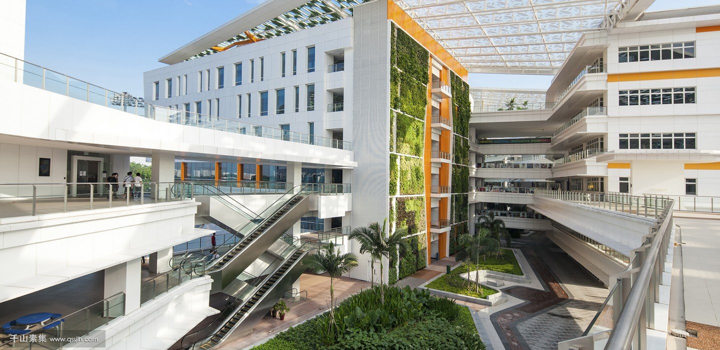 校园为什么要做垂直绿化？植物墙让校园充满绿景，建设生态学院！