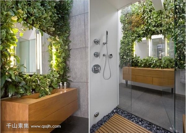 看卫浴植物墙如何增强用户体验感