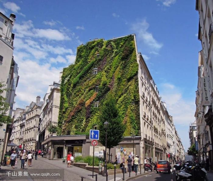 城市垂直绿化