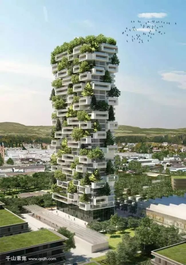 城市立体绿化